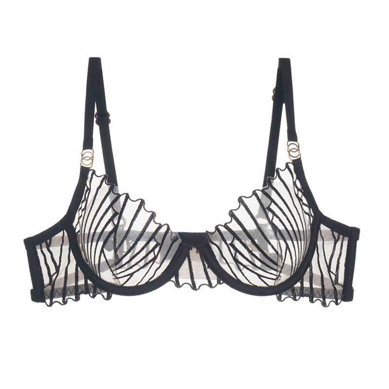 French Plus Size Minimizer Bra Set Sheer Mesh Embroidery
